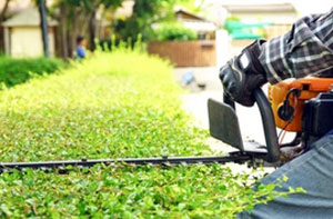 Hedge Trimming Immingham