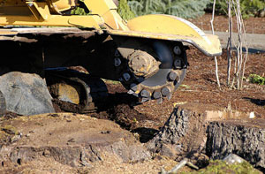 Stump Grinding Livingston