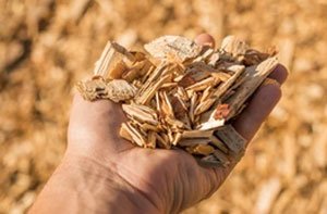 Wood Chipping Brixham